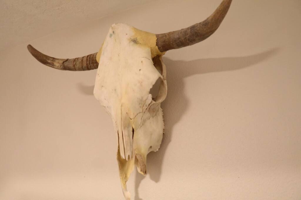 Cowboy Den-Hot Tub-Game Room-Pet Friendly-No Pet Fees! Albuquerque Esterno foto
